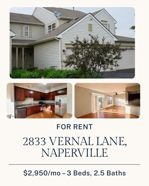 2833 Vernal Lane, Naperville interiors